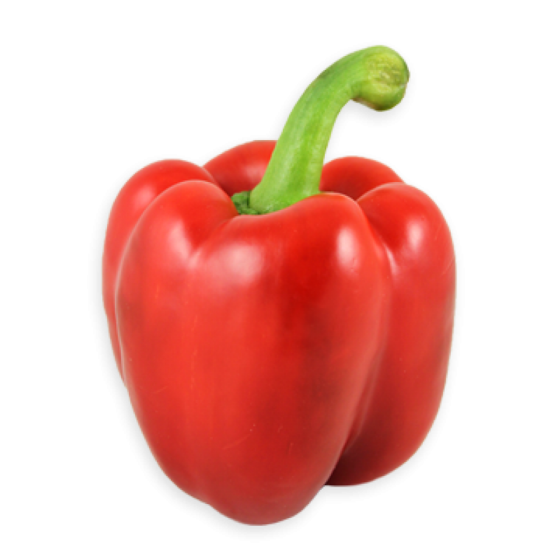 poivron rouge